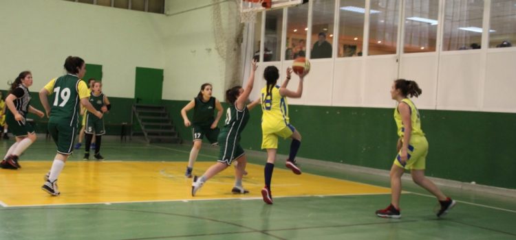 XLVIII Edición del Torneo de Baloncesto Hno. Adolfo XLVIII Edición del Torneo de Baloncesto Hno. Adolfo