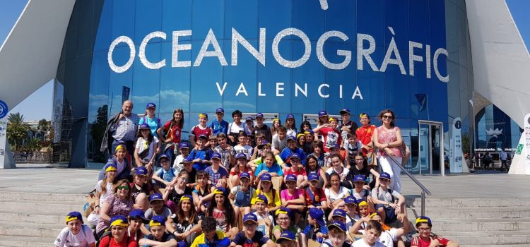 6º de Primaria en Valencia 6º de Primaria en Valencia
