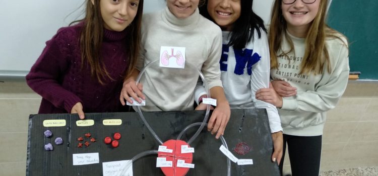 Natural Science in 6th: The nutrition Natural Science in 6th: The nutrition